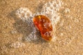 Amber on a beach of the Baltic Sea in the surf Royalty Free Stock Photo