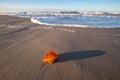 Amber on the beach in the Slowinski National Park. Czolpino, Leba, Poland Royalty Free Stock Photo