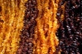 Amber beads Royalty Free Stock Photo