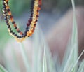 Teething Beads Amber