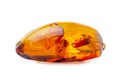 Amber brooch isolated on white background