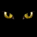 Amber cat eyes in darkness. Style low-poly