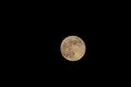 Amber colored Full Moon Against Midnight Sky Royalty Free Stock Photo