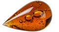 Amber Drop with Bubbles Royalty Free Stock Photo