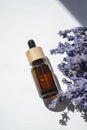 Amber dropper bottle with serum, tonic or essential oil with lavender flowers. Royalty Free Stock Photo