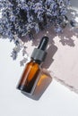 Amber dropper bottle with serum, tonic or essential oil with lavender flowers on pink concrete podium. Royalty Free Stock Photo