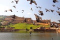 Amber Fort with the doves in Jaipur Royalty Free Stock Photo