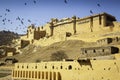 Amber Fort Glowing in the Sun