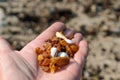 Amber gemston, small stones of amber in the palm of your hand, amber gemstone Royalty Free Stock Photo