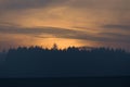 Amber glow at dusk, just after sunset, behind a coniferous forest Royalty Free Stock Photo