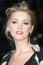 Amber Heard Royalty Free Stock Photo