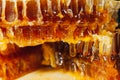 Amber honey in honeycombs flows down slowly yellow Royalty Free Stock Photo