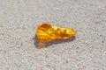 Amber with inclusions on sand