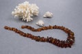 Amber jewelry necklace white coral and seashell gray background
