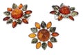 Amber jewelry set: broosh, earring. Baltic amber. black background. Royalty Free Stock Photo