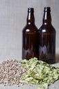 Amber Malt and Summer Hops brewing