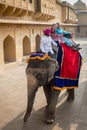 Amber Palace, Jaipur, Rajasthan state, India