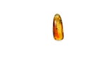 Amber, pendant from one semiprecious stone on a white background, isolate