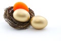 Amber red nest egg threatens investment stability