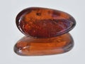 Amber red translucent Royalty Free Stock Photo