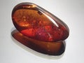 Amber red translucent Royalty Free Stock Photo