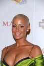 Amber Rose Royalty Free Stock Photo