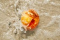 Amber stone ball shaped baltic sea splash close up