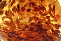 An amber stone close-up Royalty Free Stock Photo