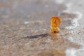 Amber stone closeup at Baltic shore Royalty Free Stock Photo