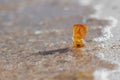 Amber stone closeup at Baltic shore