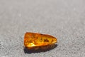 Amber stone insect inclusion sand