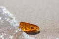 Amber stone with insect inclusion Royalty Free Stock Photo