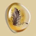 Amber stone with insect isolated on white background. Butterfly modern insect frozen in amber. Petrous resin for design. Gemstone