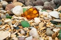 Amber stone. Mineral amber. Rosin yellow amber. Sunstone on a beach of pebbles. Royalty Free Stock Photo