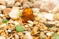 Amber stone. Mineral amber. Rosin yellow amber. Sunstone on a beach of pebbles. Royalty Free Stock Photo