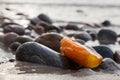 Amber stone on rocky beach. Precious gem, treasure. Royalty Free Stock Photo