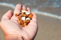 Amber stones in the palm, raw amber in the hand Royalty Free Stock Photo