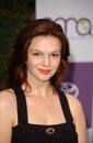 Amber Tamblyn Royalty Free Stock Photo