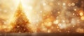 Amber tints and shades of Christmas trees in foreground and background Royalty Free Stock Photo