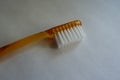 Amber toothbrush head with nylon bristle