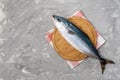 Large amberjack seriola is a dumerili on a gray concrete background. top view Royalty Free Stock Photo