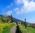 Ambiance of villa with beautiful landscape mountain ungaran