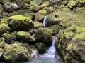 Ambience of a creek Curak in the significant landscape Green whirpool - Croatia / Ambijent potoka Curak u znaÃÂajnom krajoliku