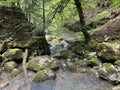 Ambience of a creek Curak in the significant landscape Green whirpool - Croatia / Ambijent potoka Curak u znaÃÂajnom krajoliku