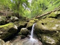 Ambience of a creek Curak in the significant landscape Green whirpool - Croatia / Ambijent potoka Curak u znaÃÂajnom krajoliku