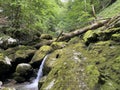 Ambience of a creek Curak in the significant landscape Green whirpool - Croatia / Ambijent potoka Curak u znaÃÂajnom krajoliku