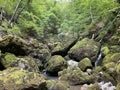 Ambience of a creek Curak in the significant landscape Green whirpool - Croatia / Ambijent potoka Curak u znaÃÂajnom krajoliku