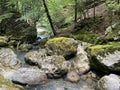 Ambience of a creek Curak in the significant landscape Green whirpool - Croatia / Ambijent potoka Curak u znaÃÂajnom krajoliku