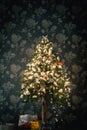 Ambient scene with Christmas tree on dark background Royalty Free Stock Photo