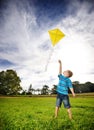 Ambitious boy flying kite